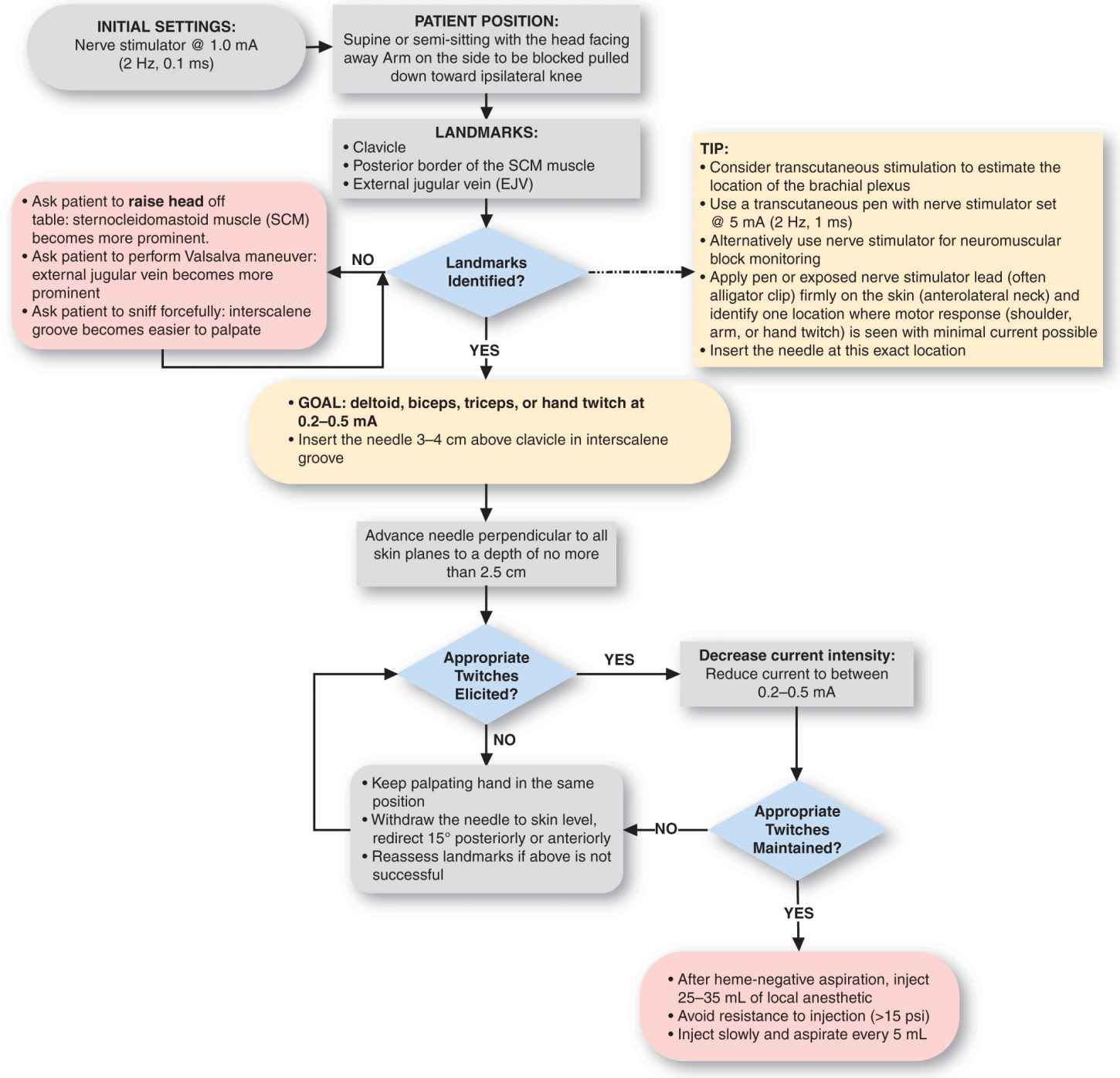 Interscalene Brachial Plexus Block Anesthesia Key