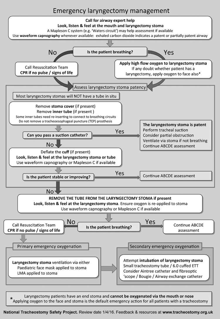 Intensive care guidelines Anesthesia Key