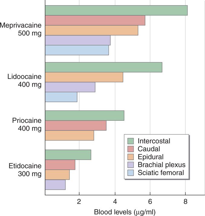 Local Anesthetics Anesthesia Key