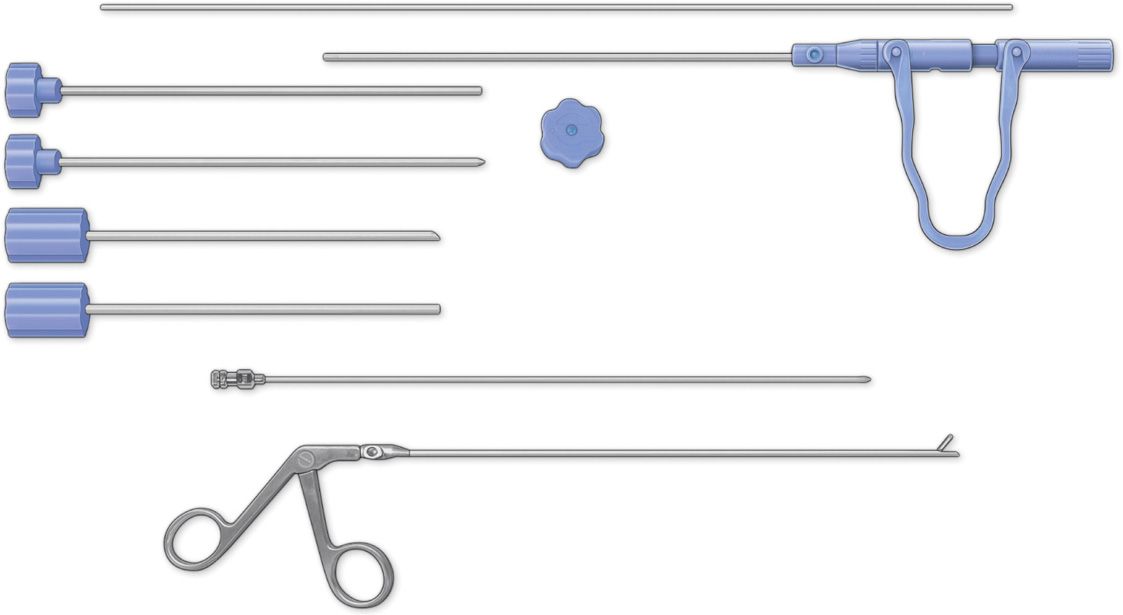 Endoscopic Discectomy Anesthesia Key