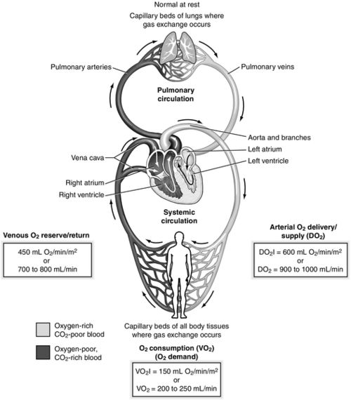 Venous Oxygen Saturation Monitoring Anesthesia Key
