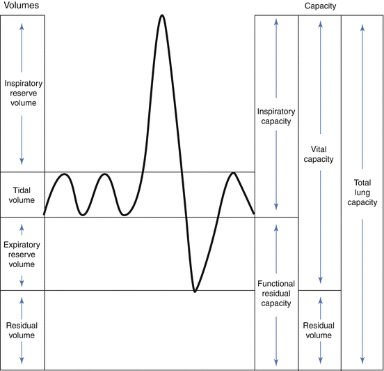 Spirometry Labeled