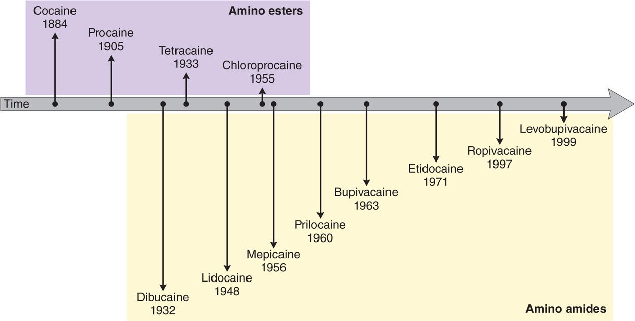 Local Anesthetics Anesthesia Key
