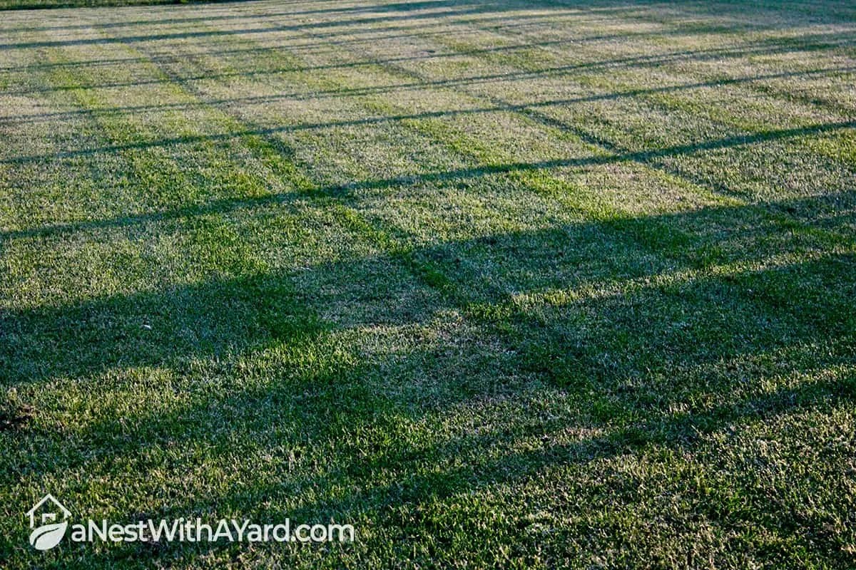 Most Efficient Mowing Pattern For Your Lawn In 2022 Design Detailing