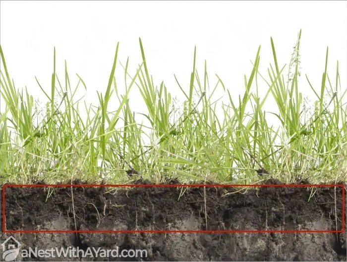 When To Power Rake Lawn Guide 2024 A Nest With A Yard