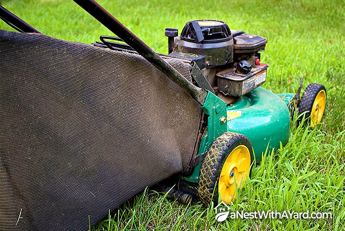 Lawn Sweeper Vs Bagger: Which To Choose In 2024? - A Nest With A Yard