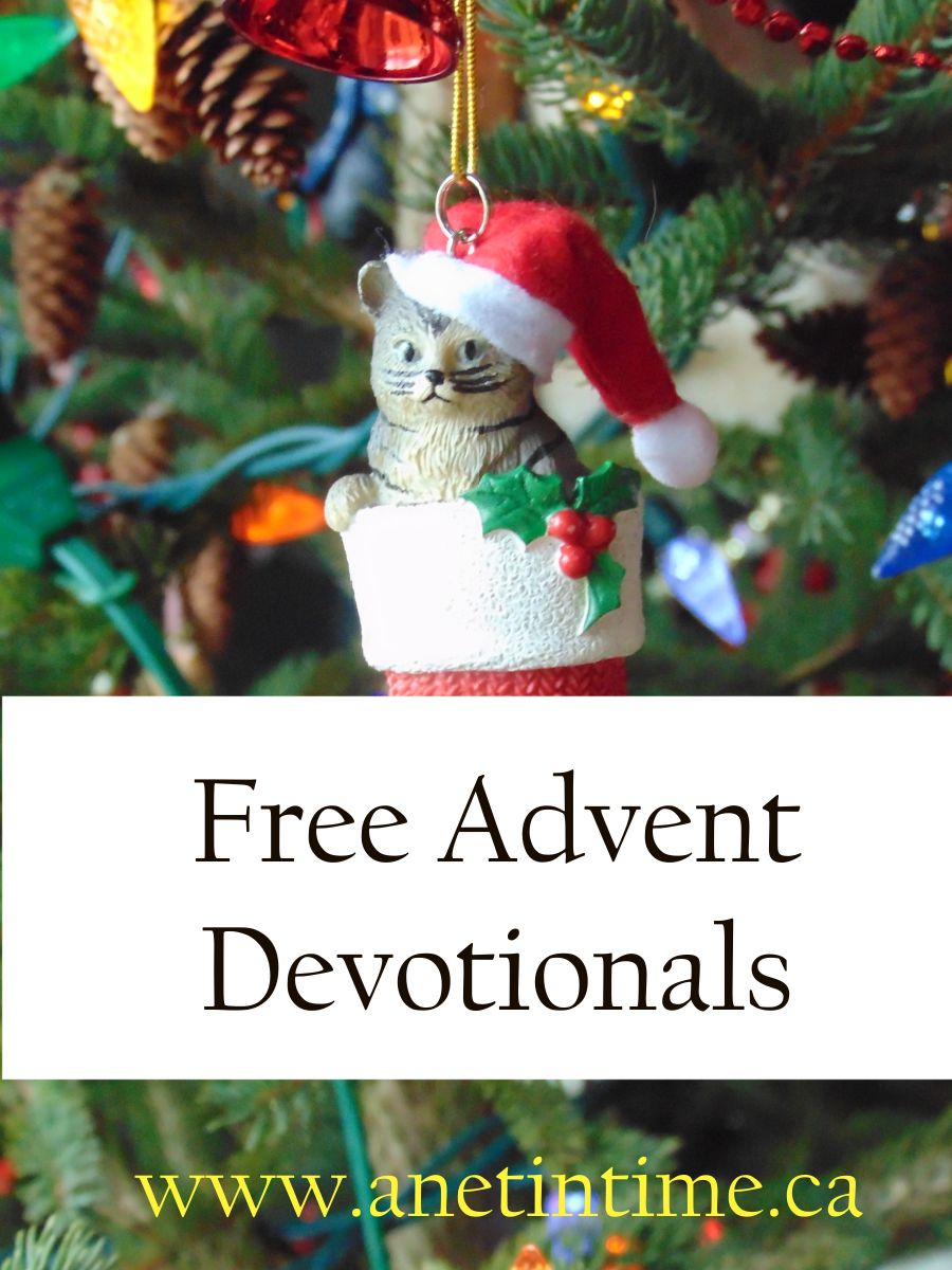 Free Advent Devotionals - A Net in Time