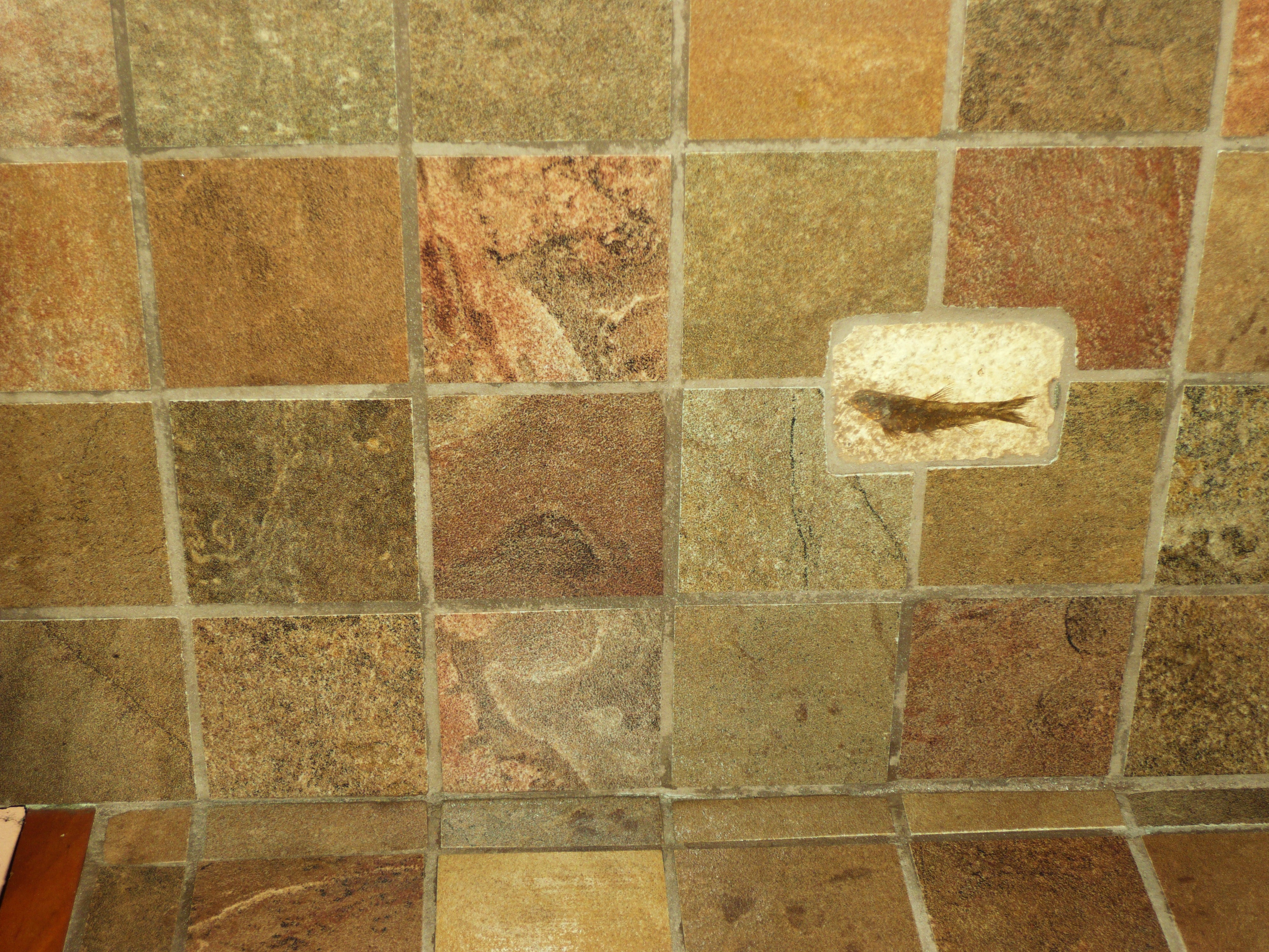 The Tile Guy A New Redding Business