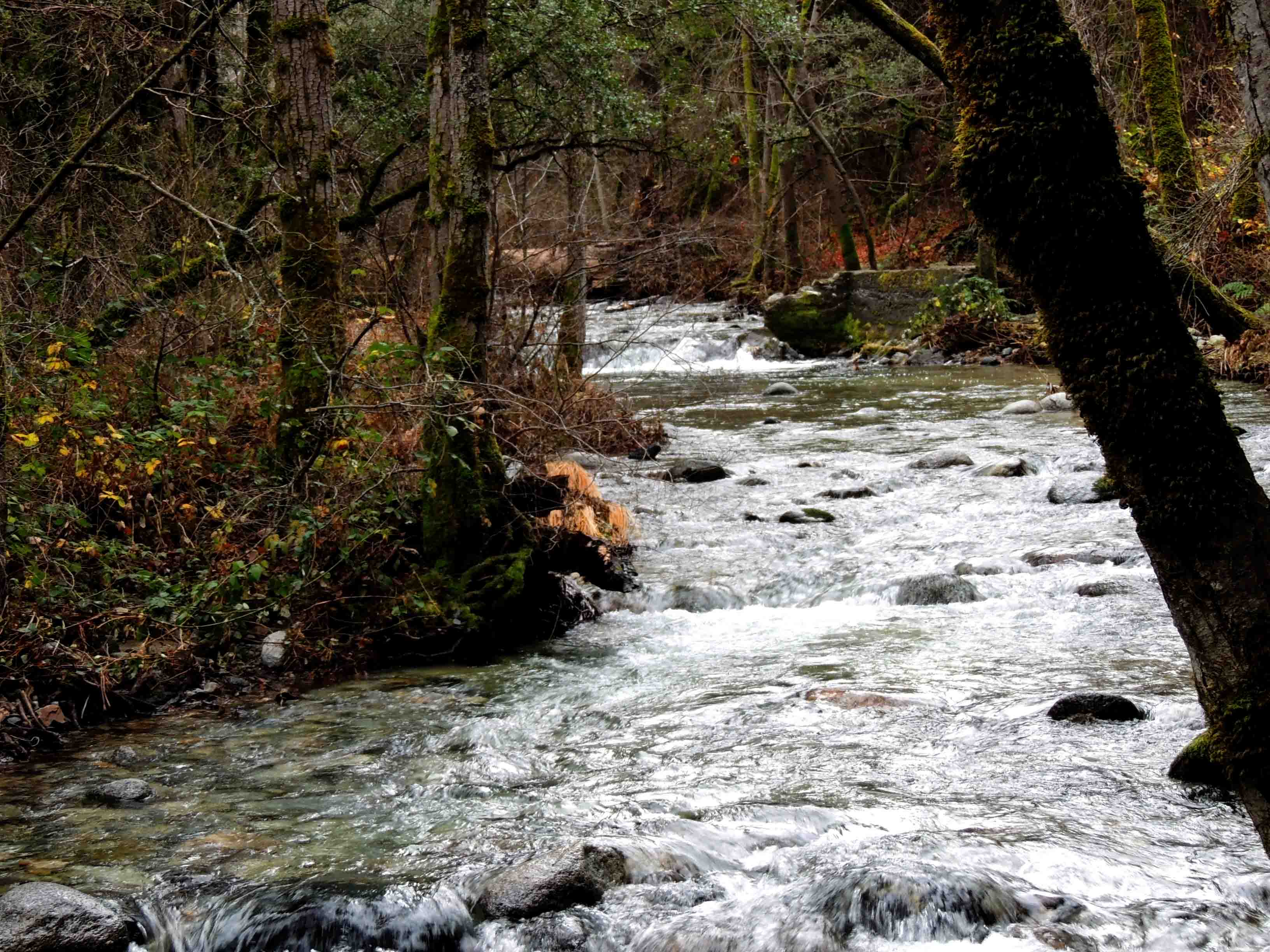 Take a Hike on the Historical Crystal Creek Water Ditch