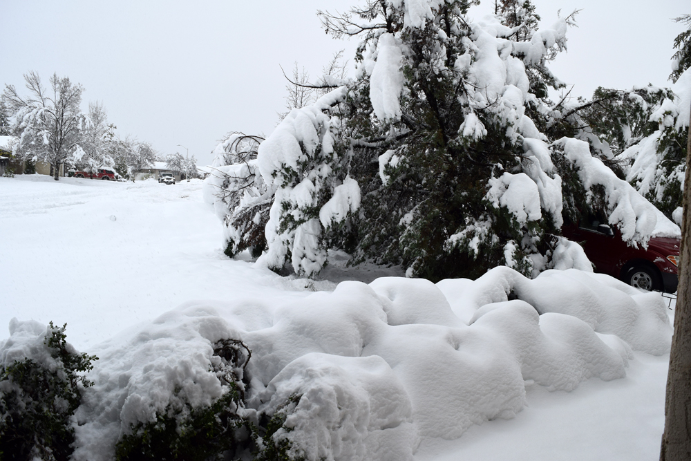 Snow in Redding