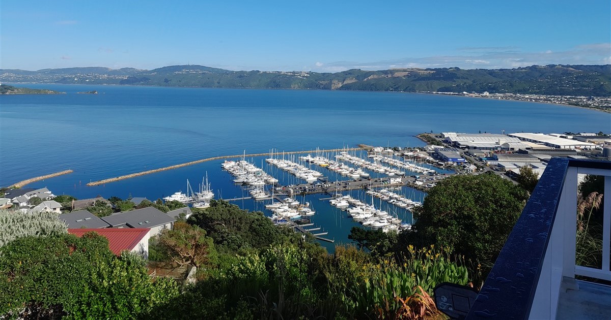 Cleaners Lower Hutt, Upper Hutt Reliable & Efficient