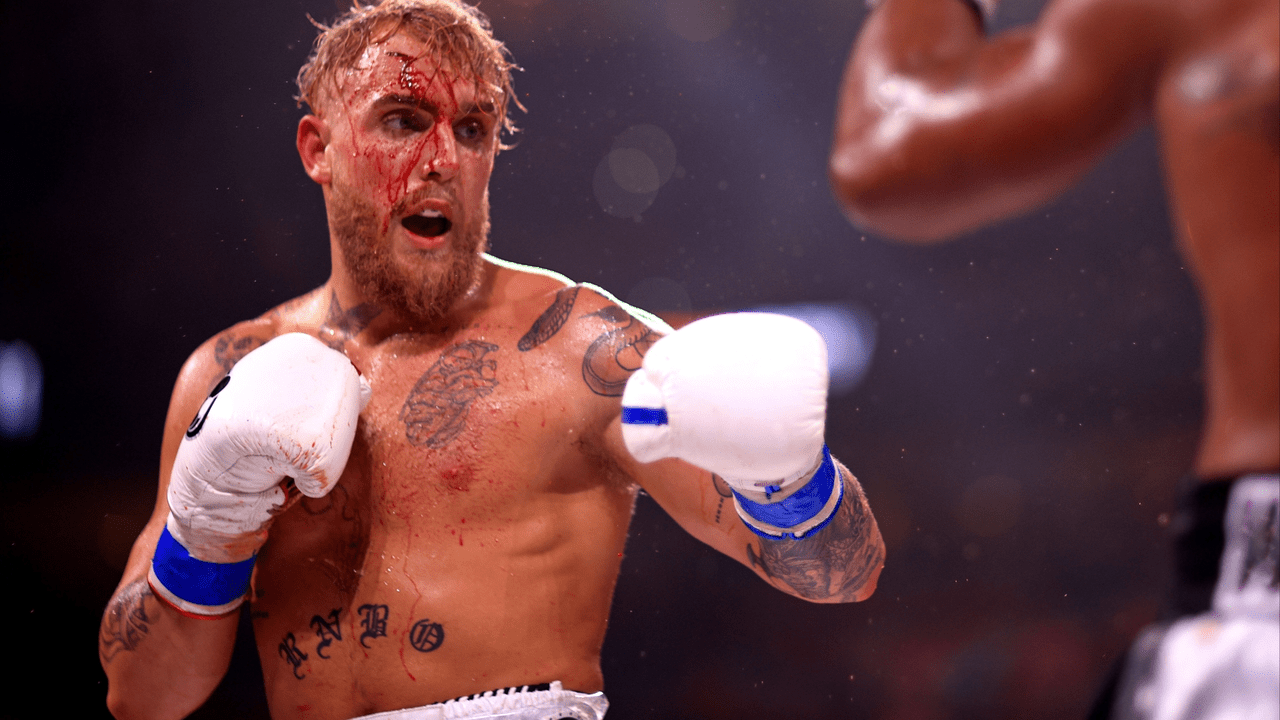 Angel Boxing Network