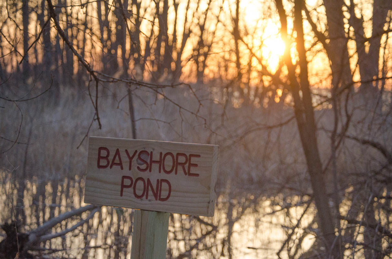Bayshore Pond ANGEL NOEL PHOTOGRAPHY