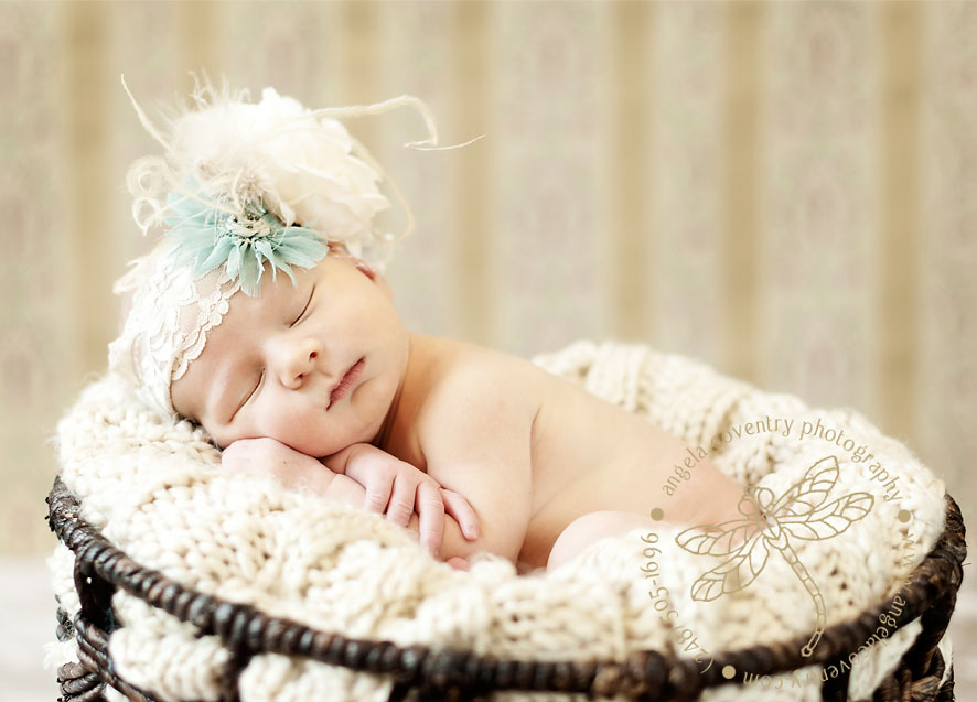 Newborn princess in a basket Detroit newborn photography