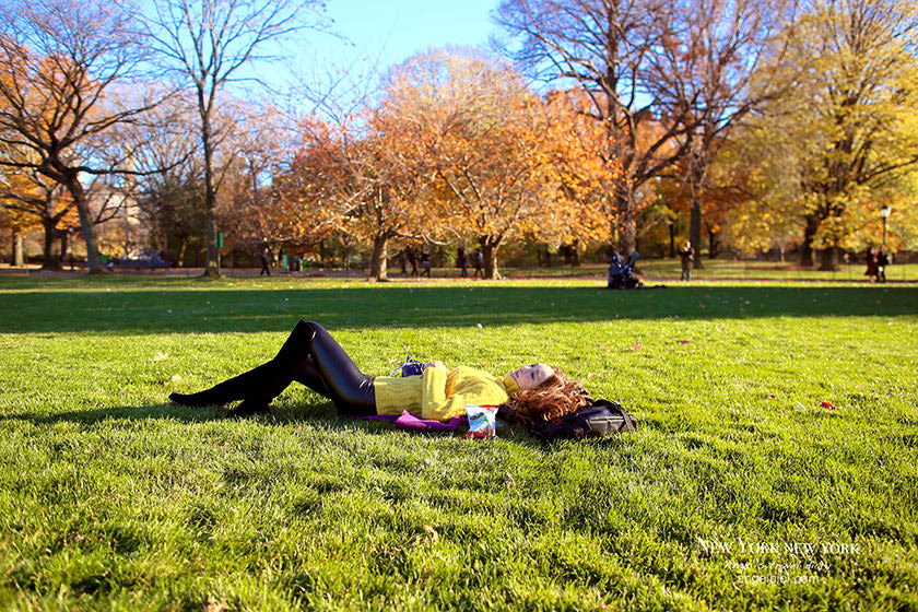 【紐約】中央公園秋日賞楓&愜意午睡+Lady M Cake Boutique午茶