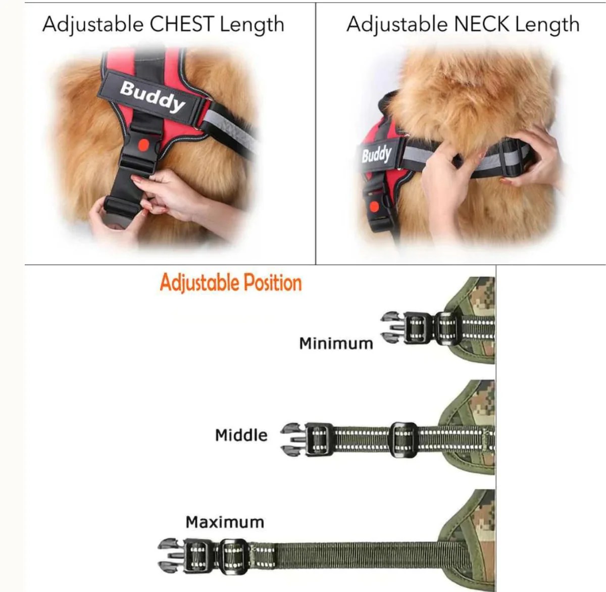 Custom Dog Harness Adjustable Neck Strip & Chest Strip Dog Harness