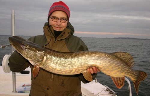 BoddenHechte beißen gut Angelservice Jubelt Rügen