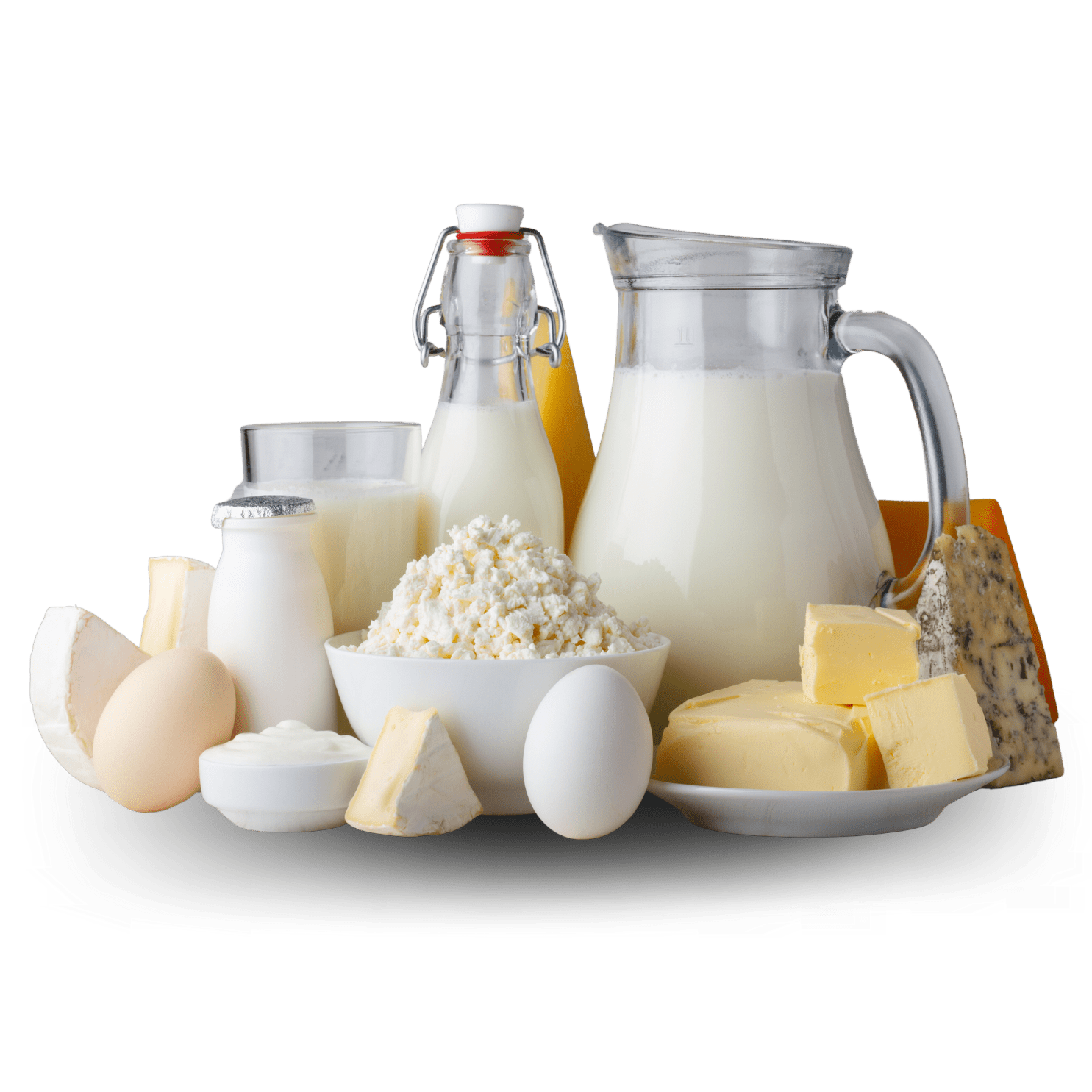 Plant based Protien Manufacturers Plant based meat Alternatives