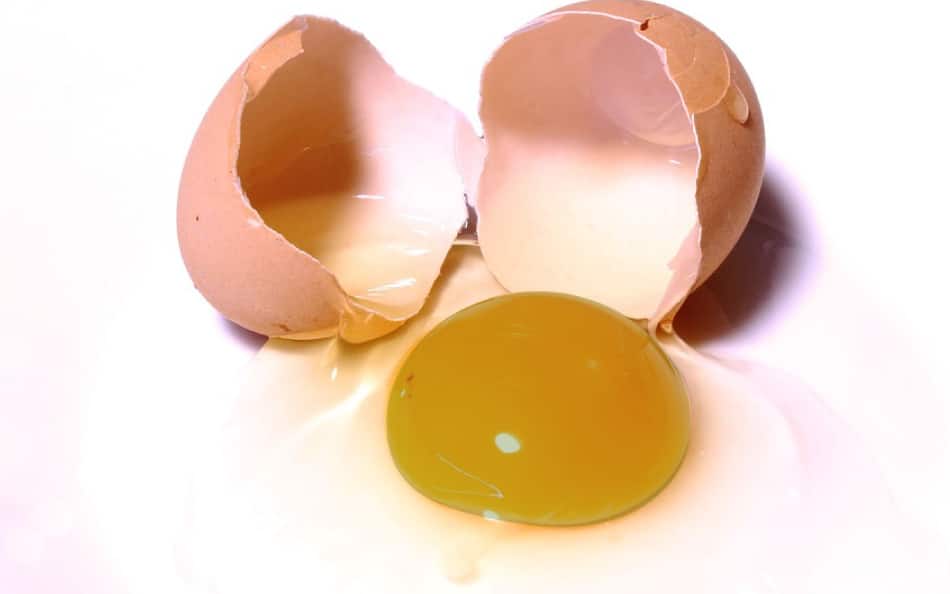What To Do When Your Well Water Smells Like Rotten Eggs Does Your