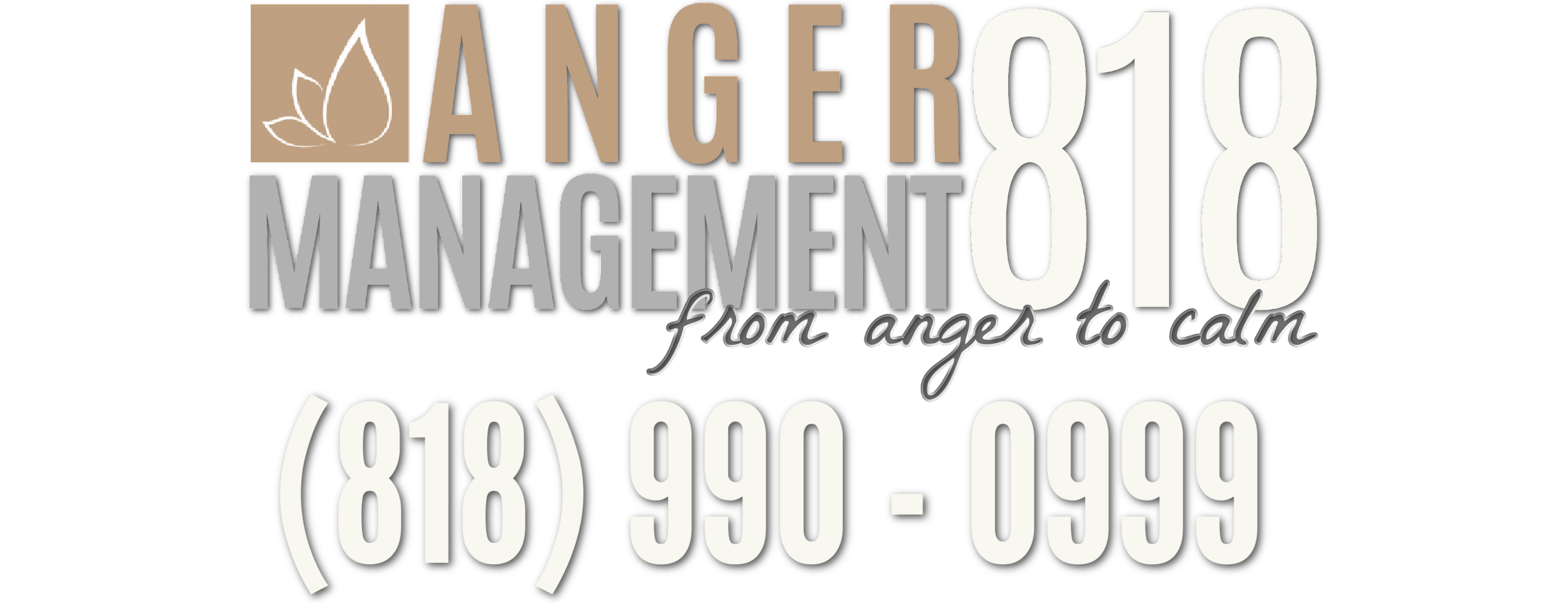 Anger Management Classes Court Approved MeaningKosh