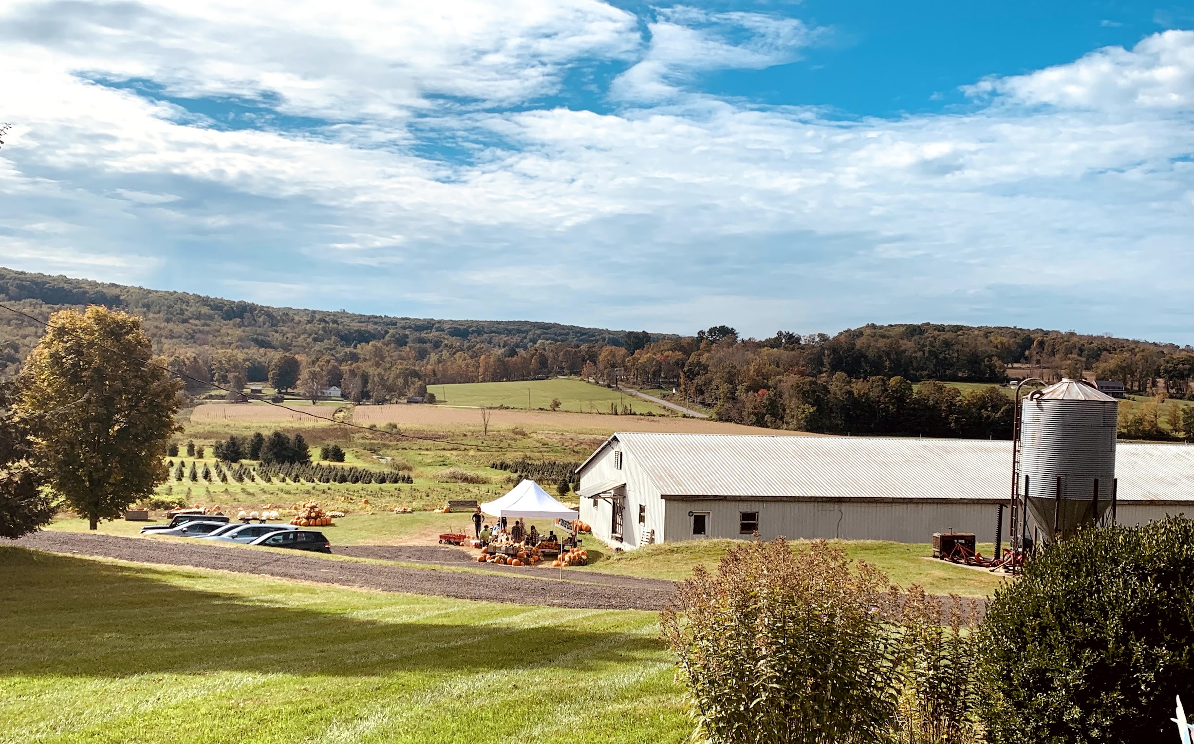 Angevine Farm Angevine Farm