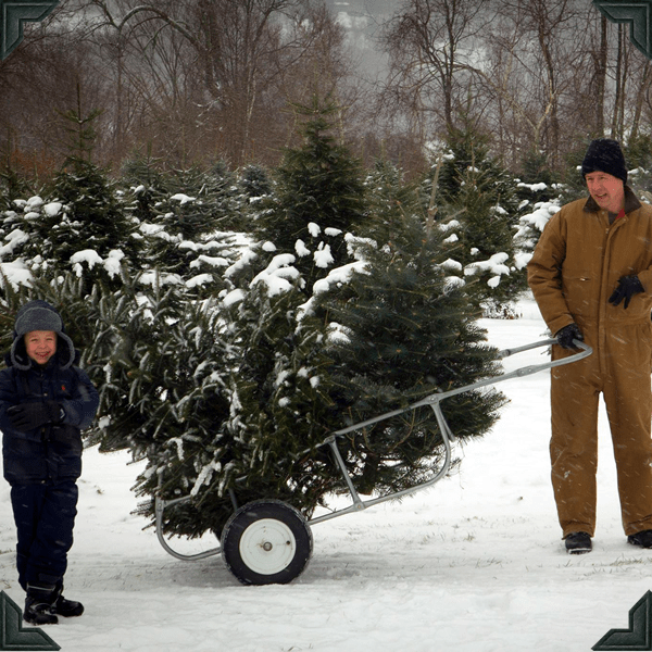 Galleries Angevine Farm