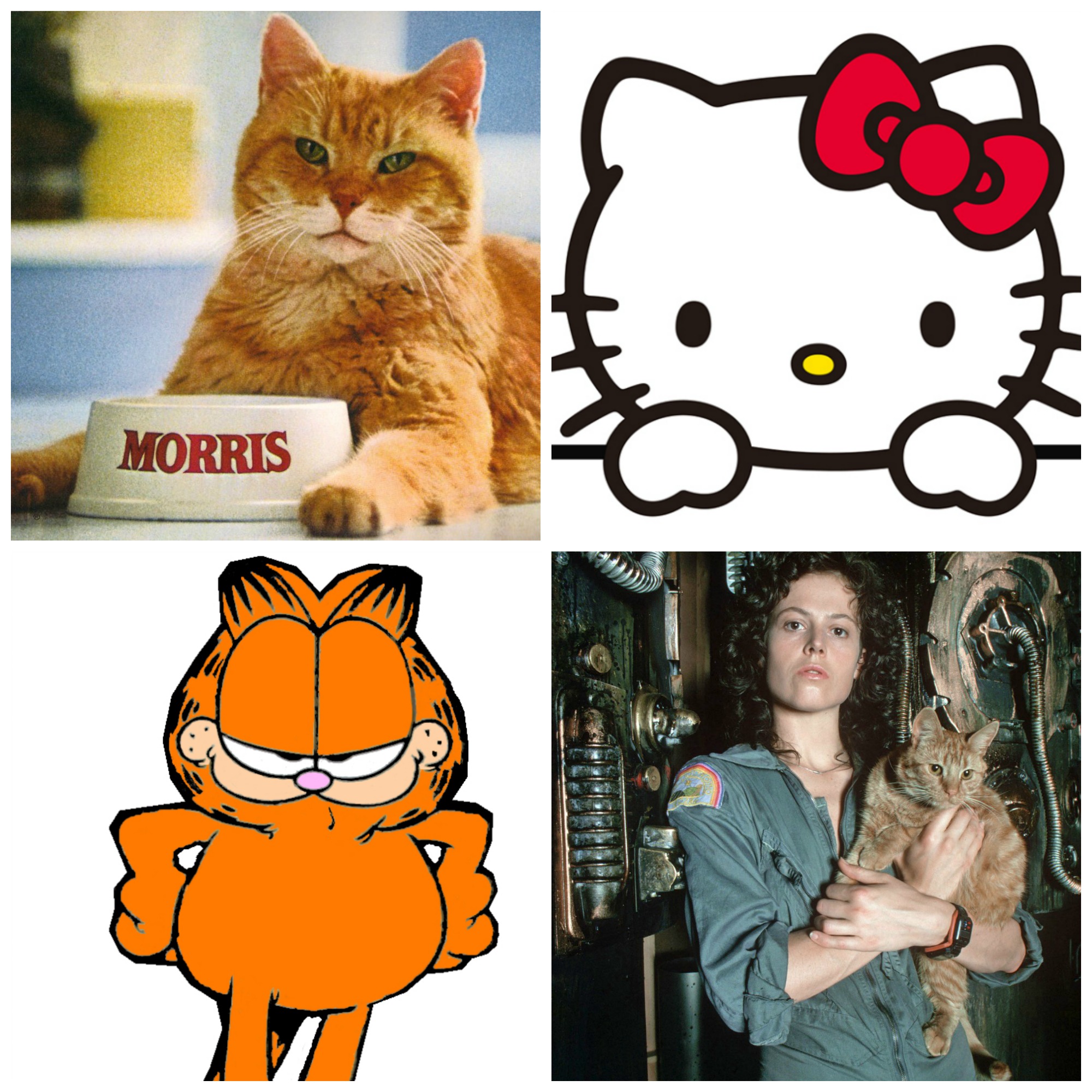 Famous Cats of the '70s/'80s, Retro Cat Food Commercials, and More