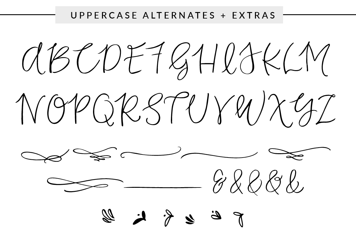 Duckbite Swash Calligraphy Font