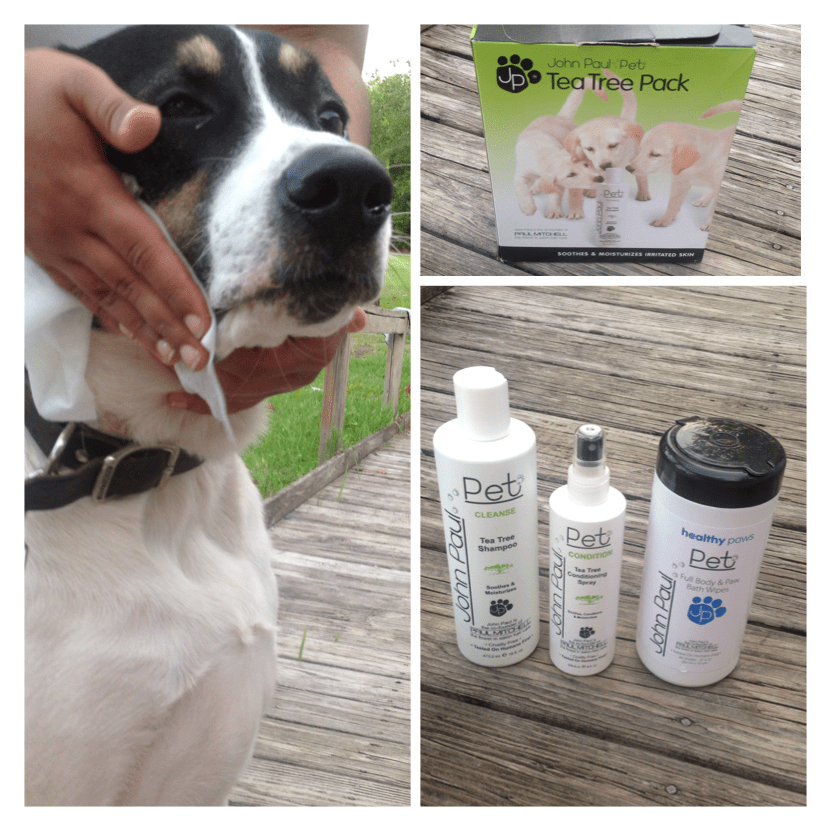 John Paul Pet Tea Tree Pack Review Angie's Angel Help Network