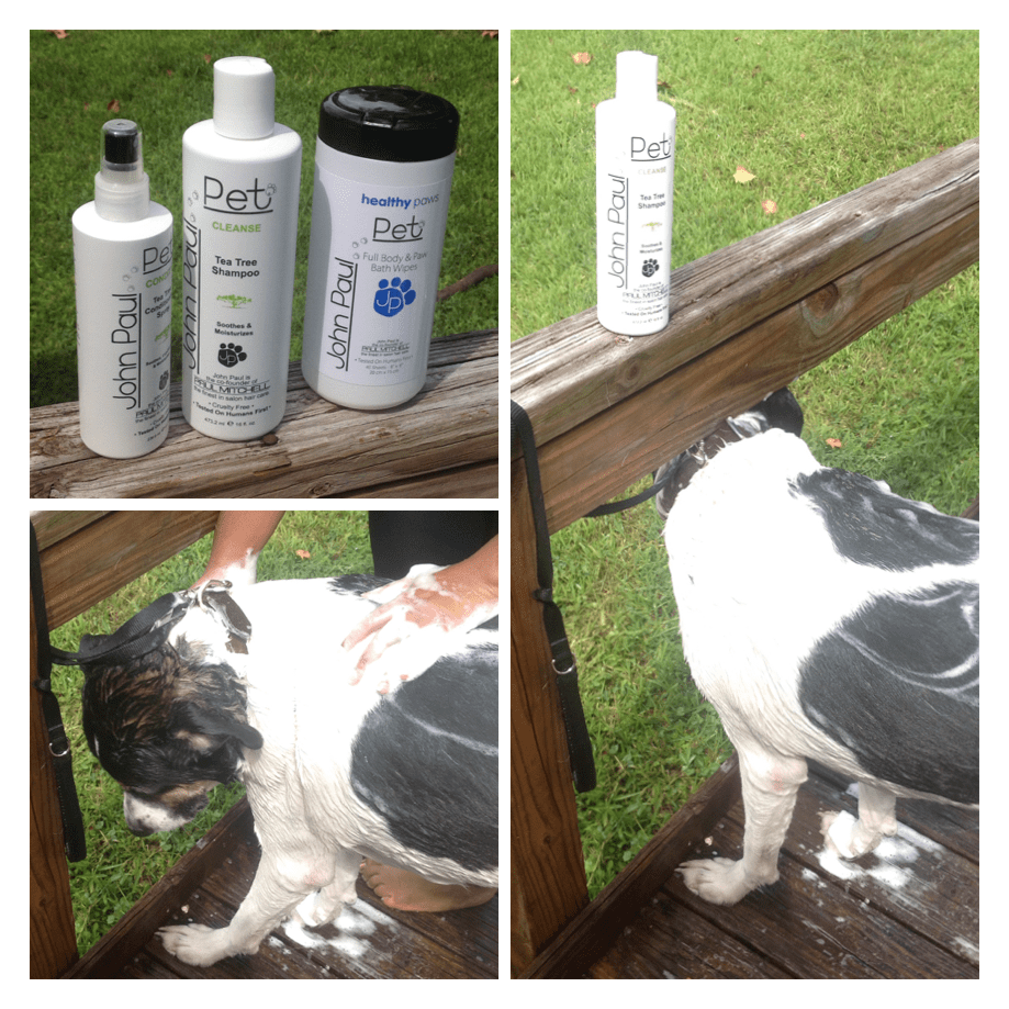 John Paul Pet Tea Tree Pack Review Angie's Angel Help Network