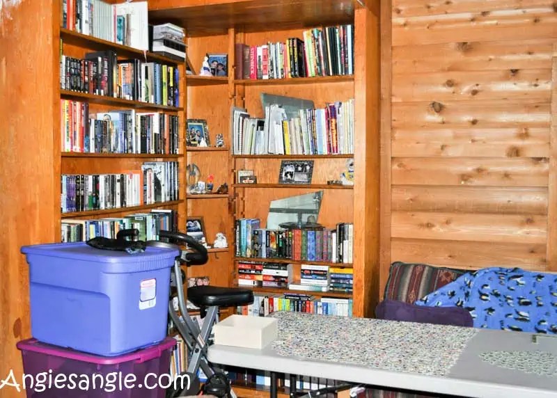 Explaining Our Second Living Room