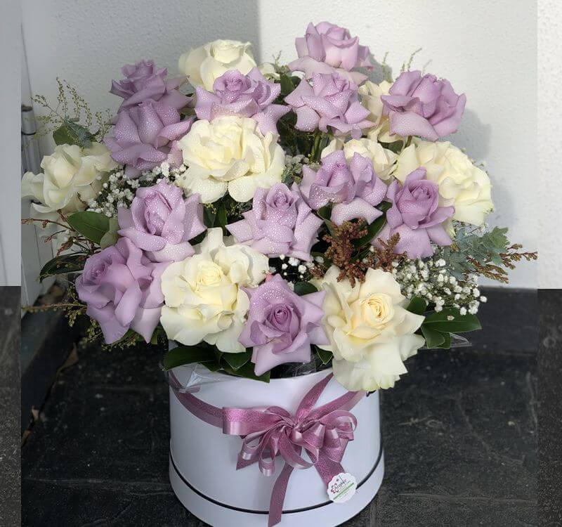 SameDay Roses Delivery Fresh Roses Delivered Today