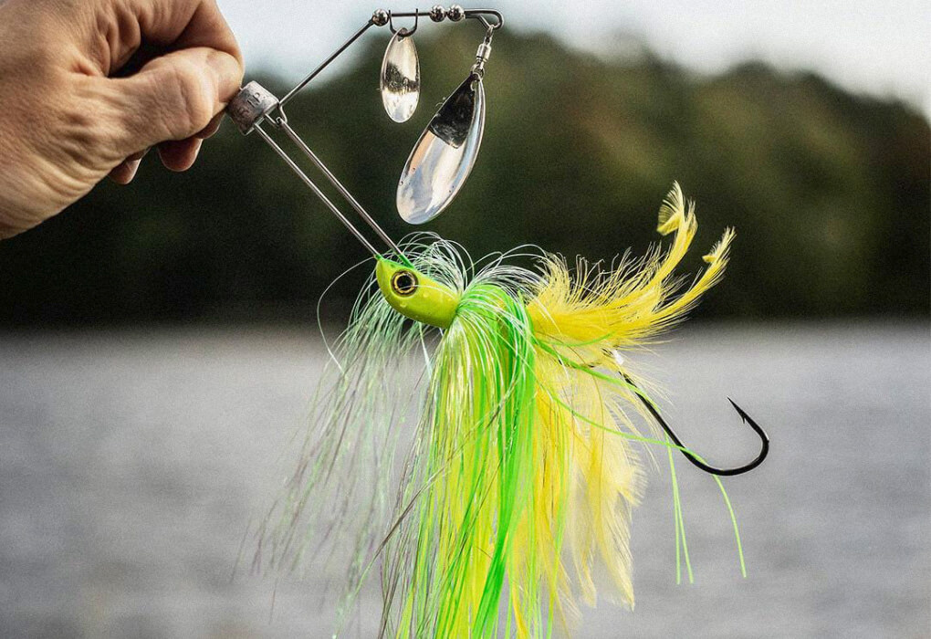 Best Post Spawn Bass Lures For 2023 Catch ‘em Easy