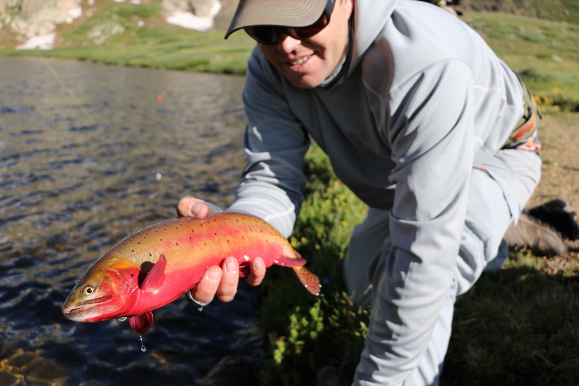 Off the Beaten Path Fishing Alpine Lakes Angler's Covey