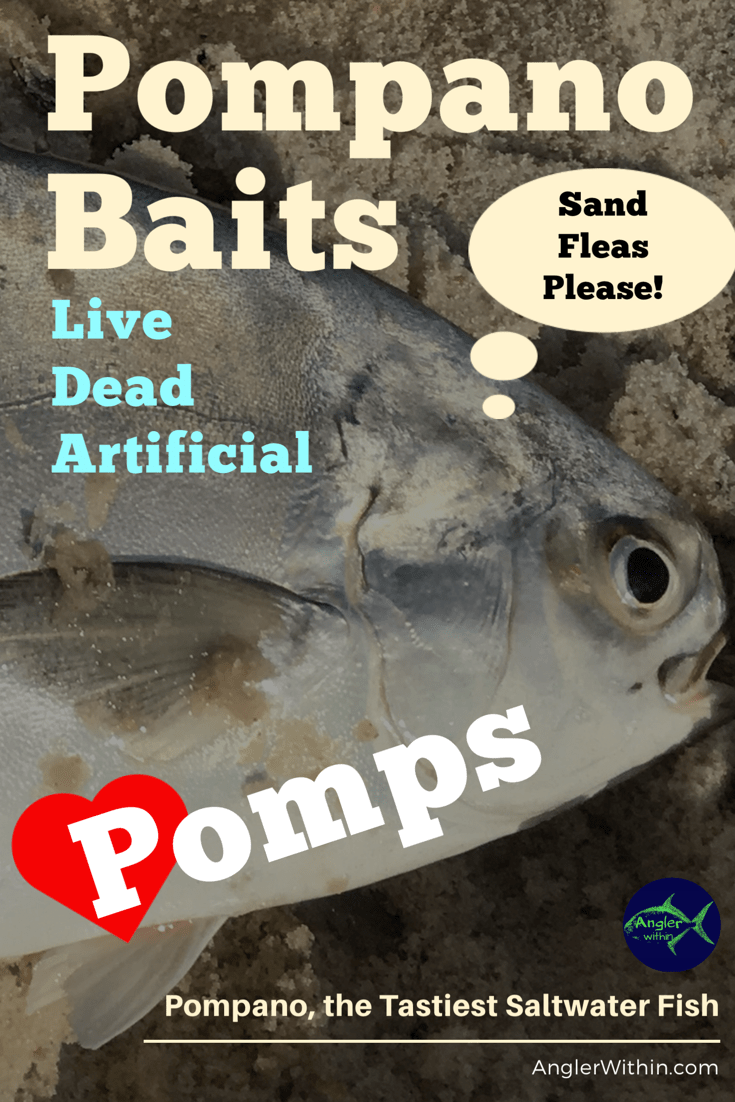 The Best Baits for Pompano The Angler Within Top Baits from Each