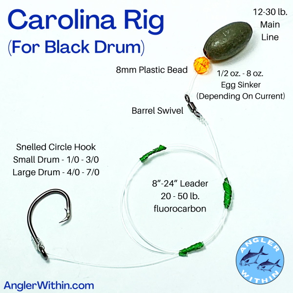 How To Catch Black Drum Your Guide To Catching Big Uglies