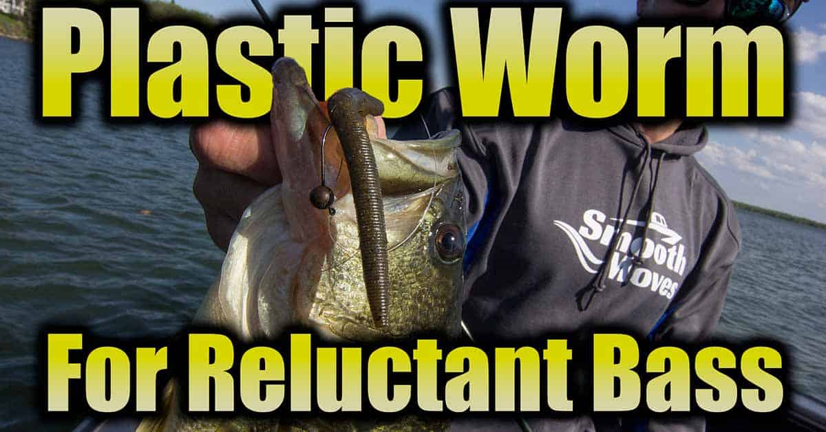 Plastic Worm Fishing For Reluctant Bass AnglingBuzz