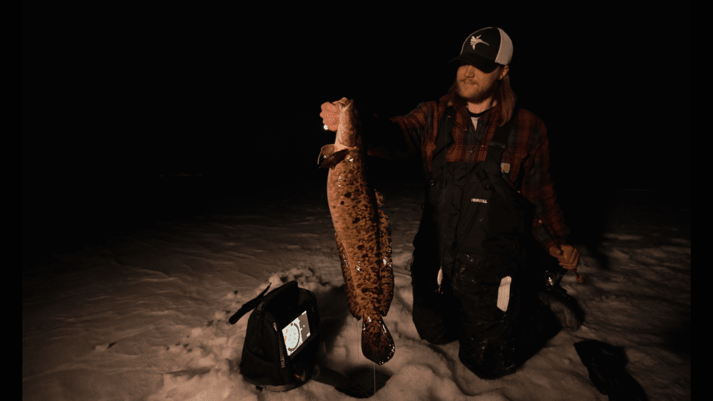 Minnesota Burbot (Update) Hays Baldwin AnglingBuzz