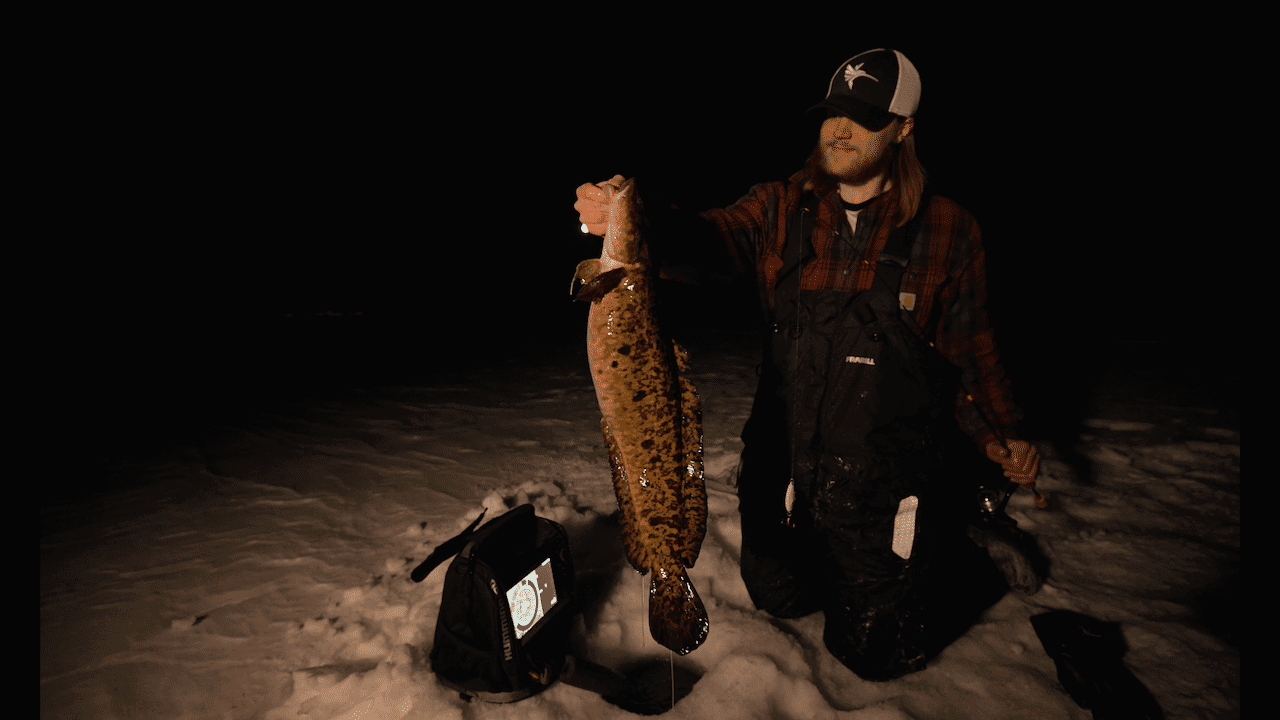 Minnesota Burbot (Update) Hays Baldwin AnglingBuzz