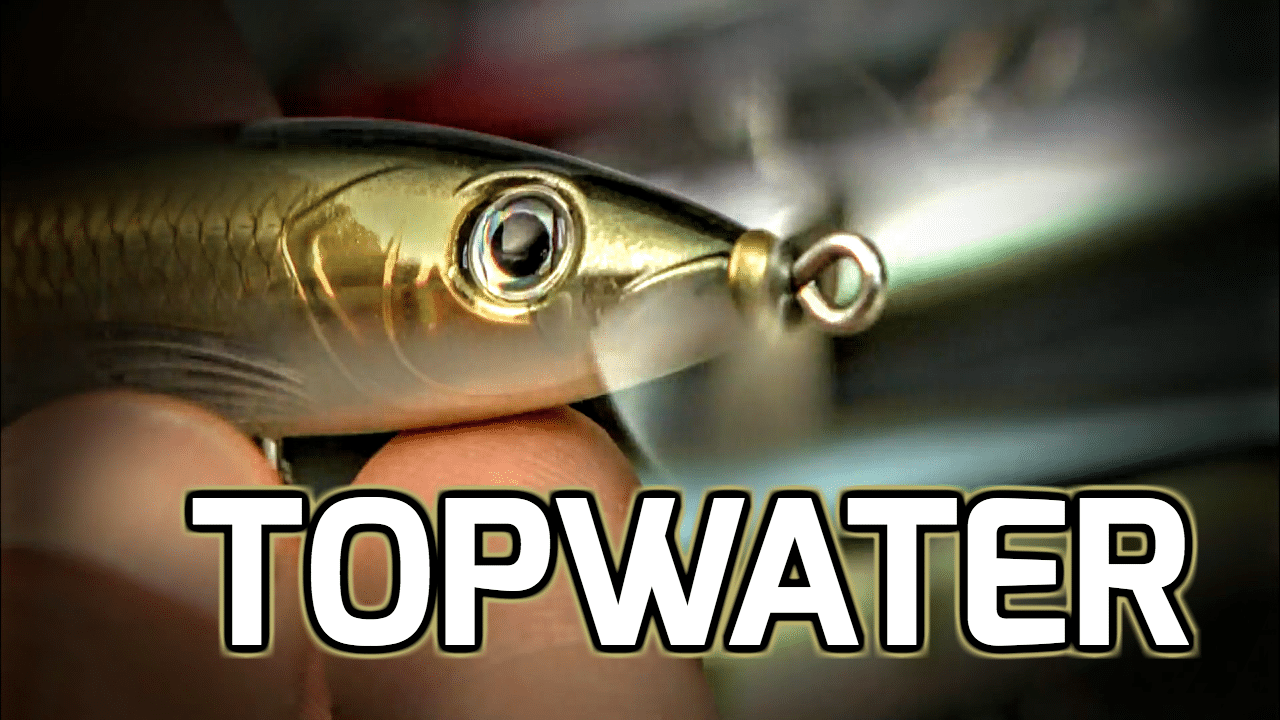 4 Topwater Lures — When They Each Shine AnglingBuzz