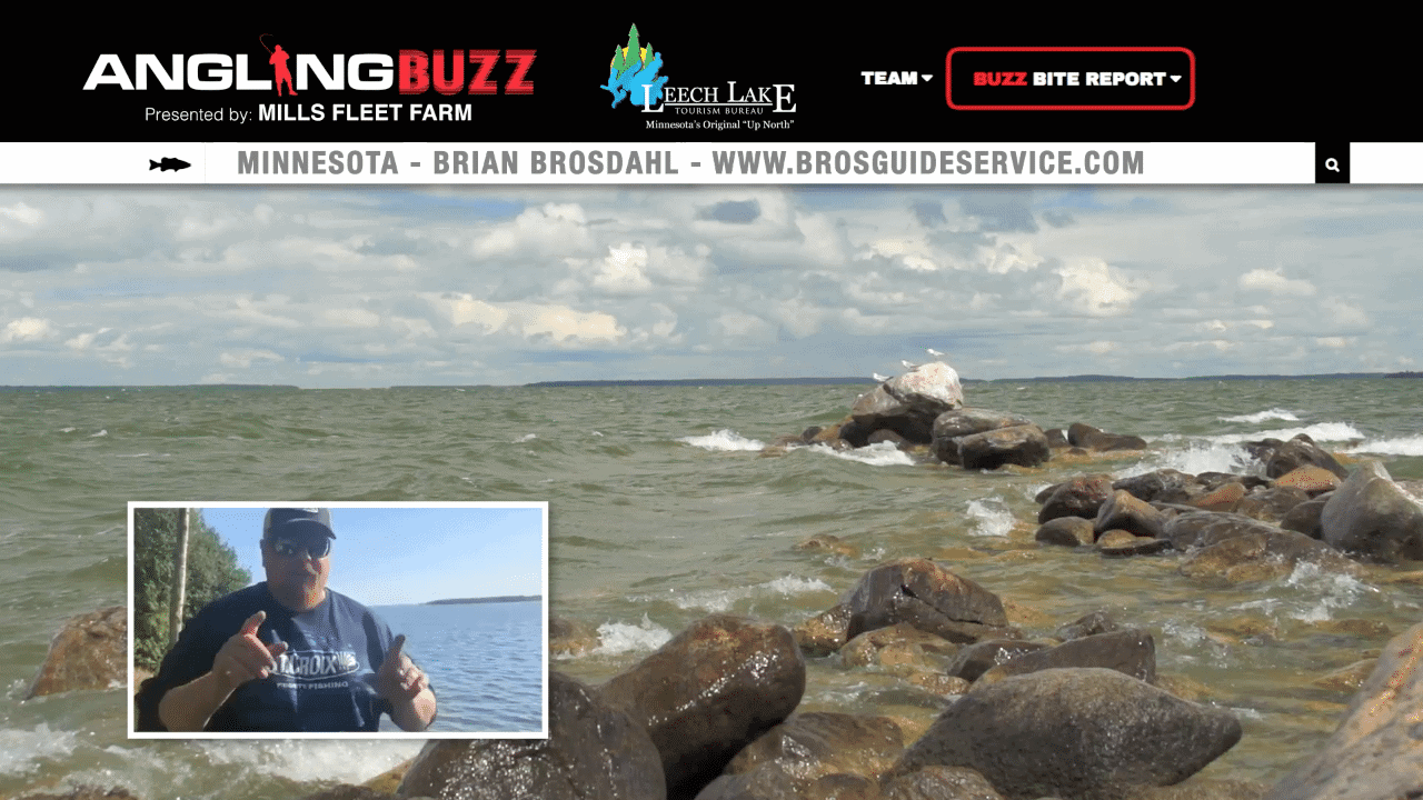 Leech Lake (MN) Fishing Report Brian Brosdahl AnglingBuzz