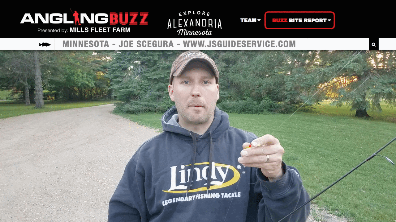 Alexandria Area (MN) Fishing Report Joe Scegura AnglingBuzz