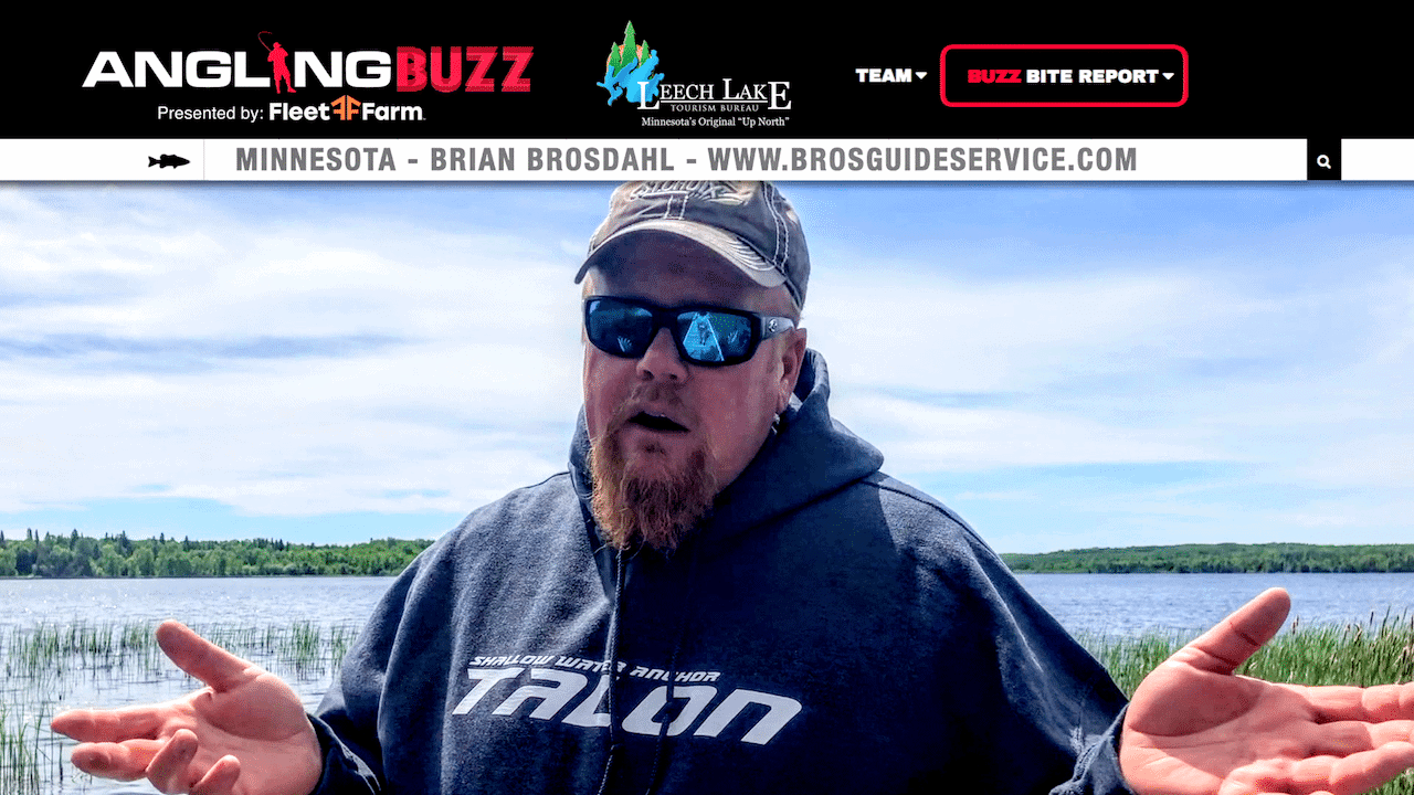 Leech Lake (MN) Fishing Report Brian Brosdahl AnglingBuzz