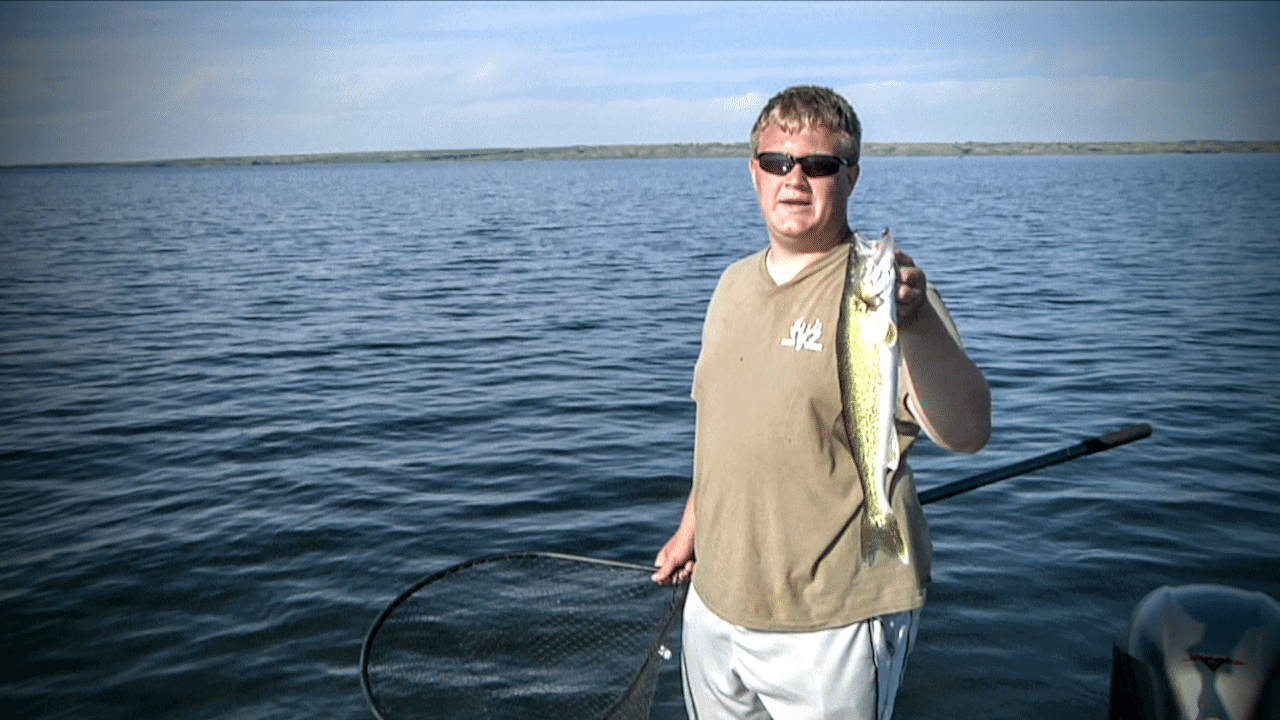 Lake Sakakawea (Van Hook Arm) Walleye Report Peter Olson AnglingBuzz