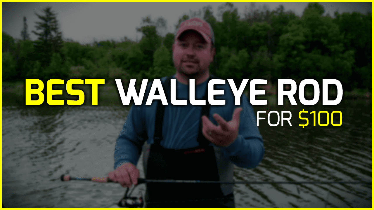 Best Walleye Rod For 100 Walleye Fishing AnglingBuzz