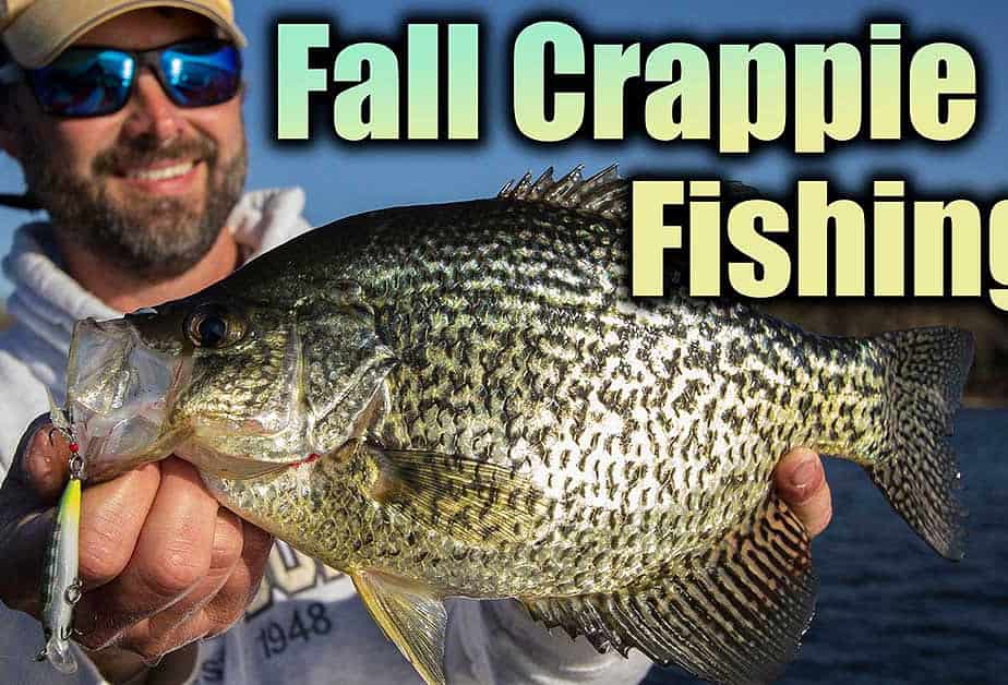 Fall Crappie Fishing — Tips & Techniques AnglingBuzz