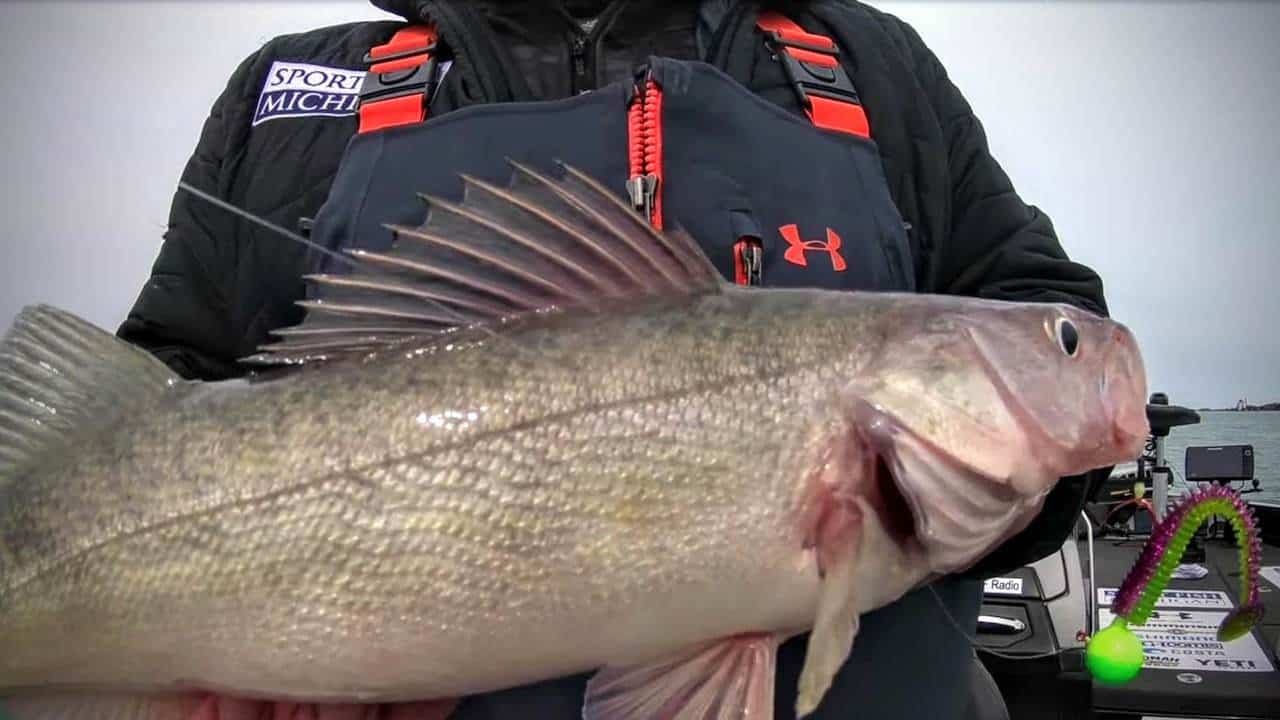 Michigan Fishing Report For Walleye, Panfish And Lake Trout AnglingBuzz