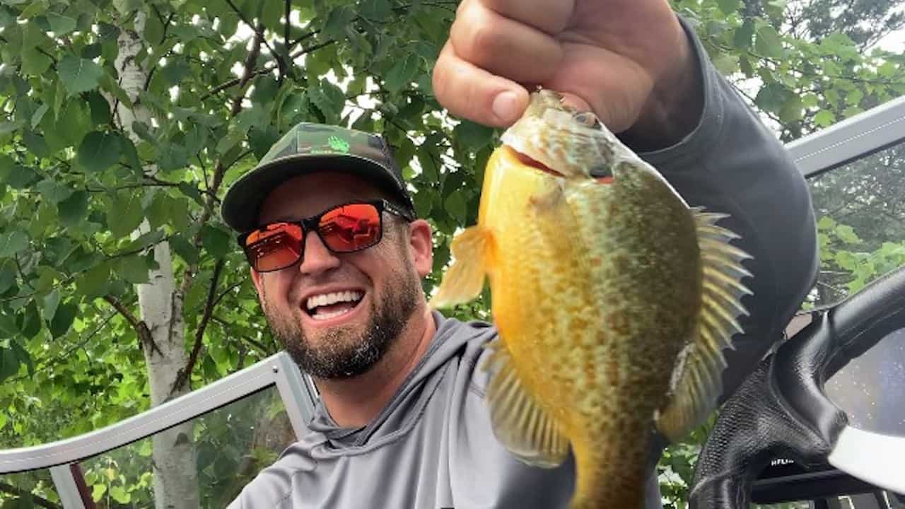 Wisconsin River Fishing Report (Tomahawk, WI) AnglingBuzz