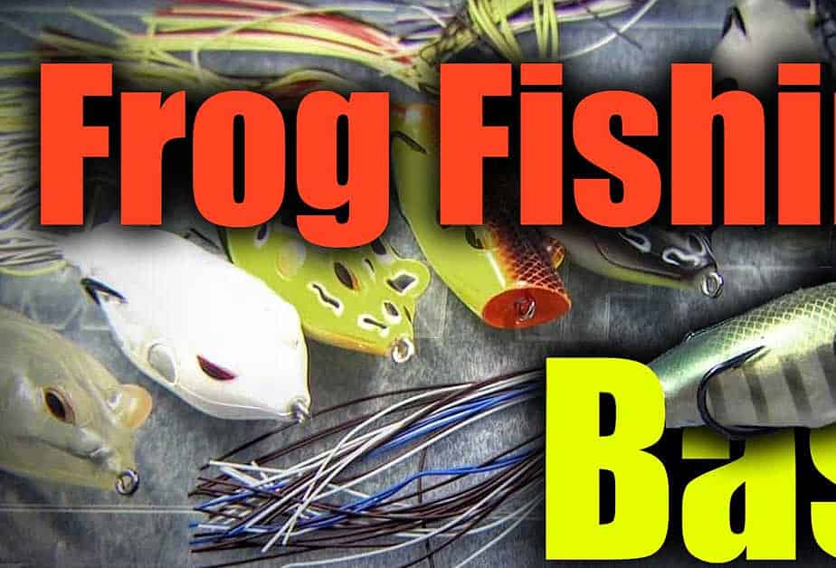 Frog Fishing Bass With Popping & Walking Frogs AnglingBuzz
