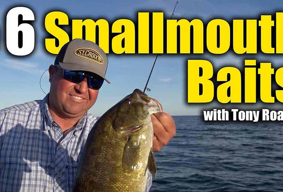 Best Topwater Baits For Smallmouth Bass at Lorretta Walker blog